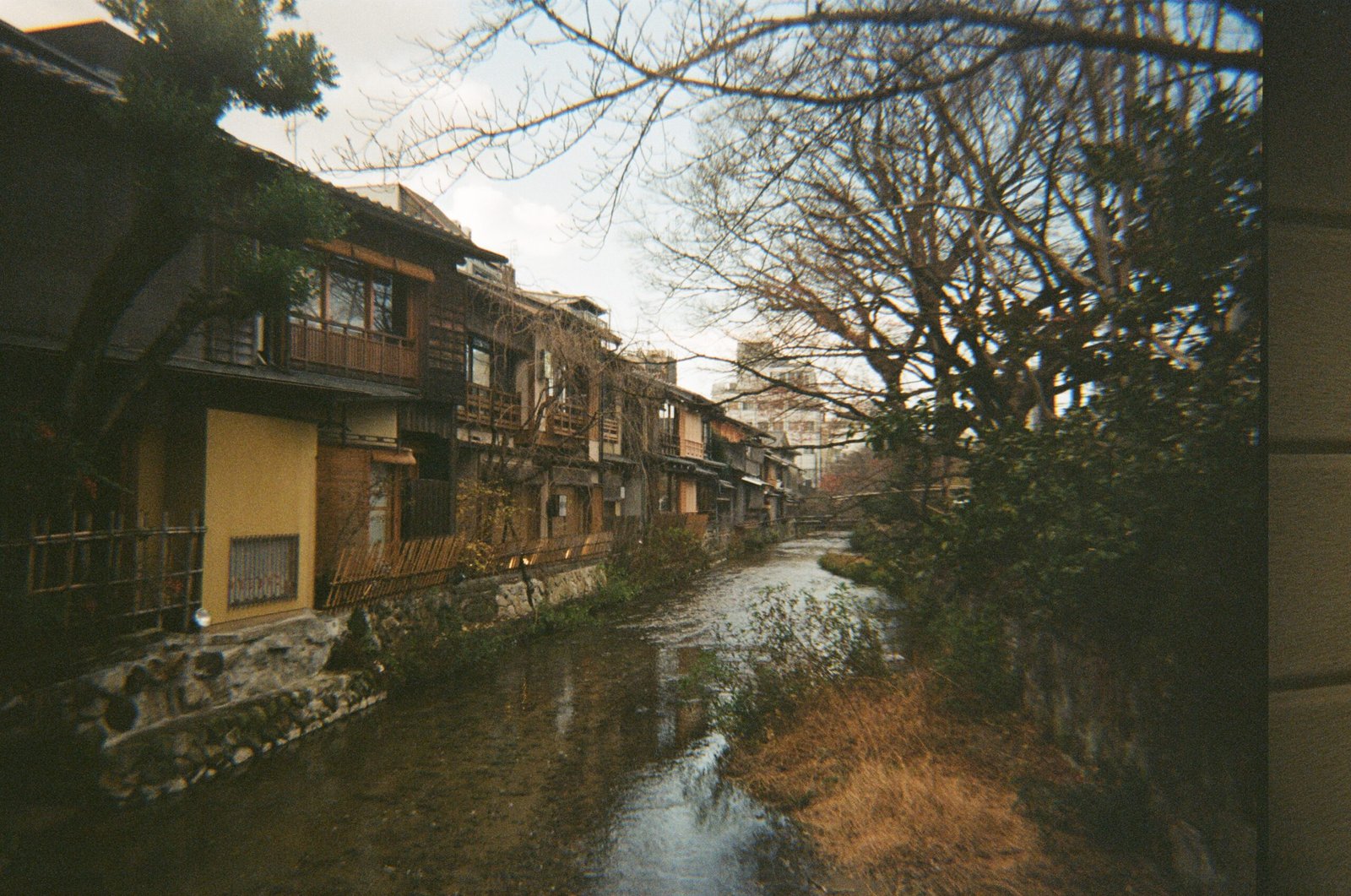 Peace in Kyoto
